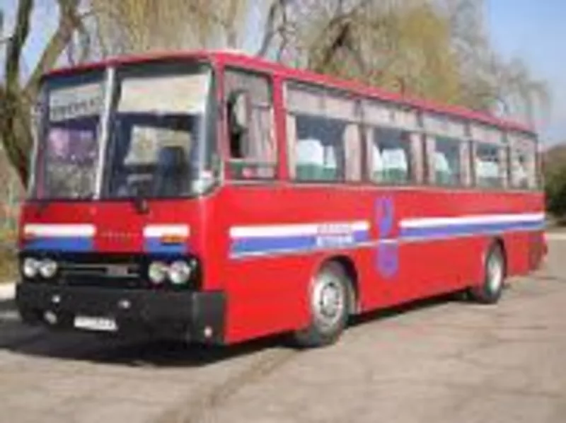 Автобус Ikarus-256 в хорошем состоянии 2